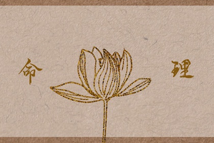 万年历阳历查询表,万年历查询 日历,万年历2026日历表